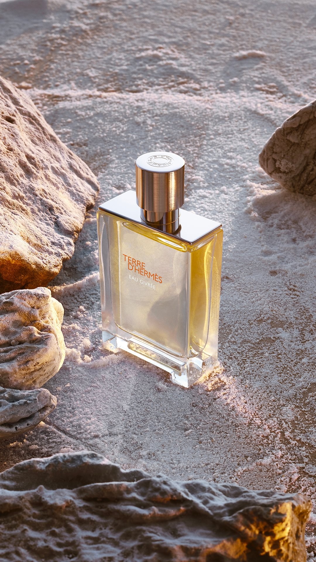 Hermes Terre D'Hermes Eau Givree EDP 100 ML Erkek Parfüm