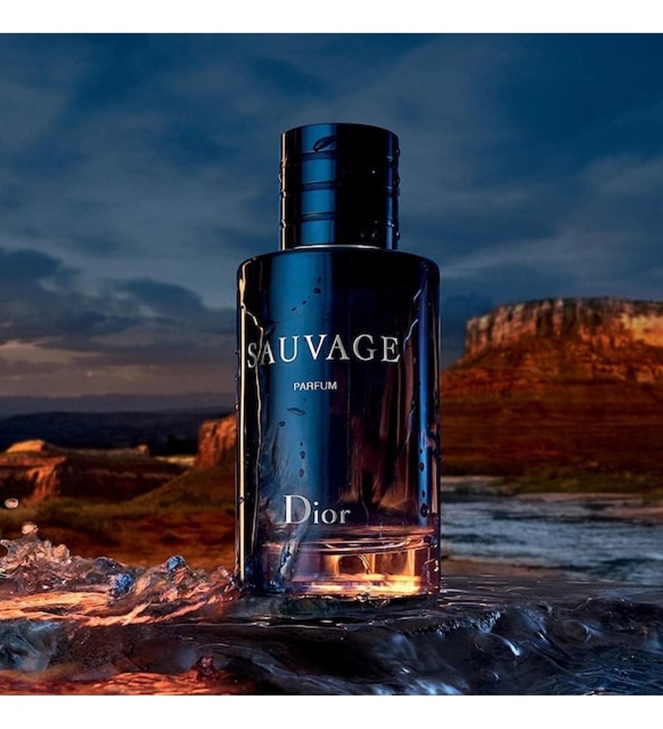 Christian Dior Sauvage New Nouveau Parfüm 100 ML Erkek Parfüm