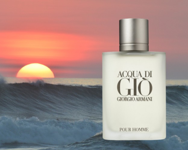 Giorgio Armani Acqua Dı Gio Pour Homme EDT 200 ML Erkek Parfüm
