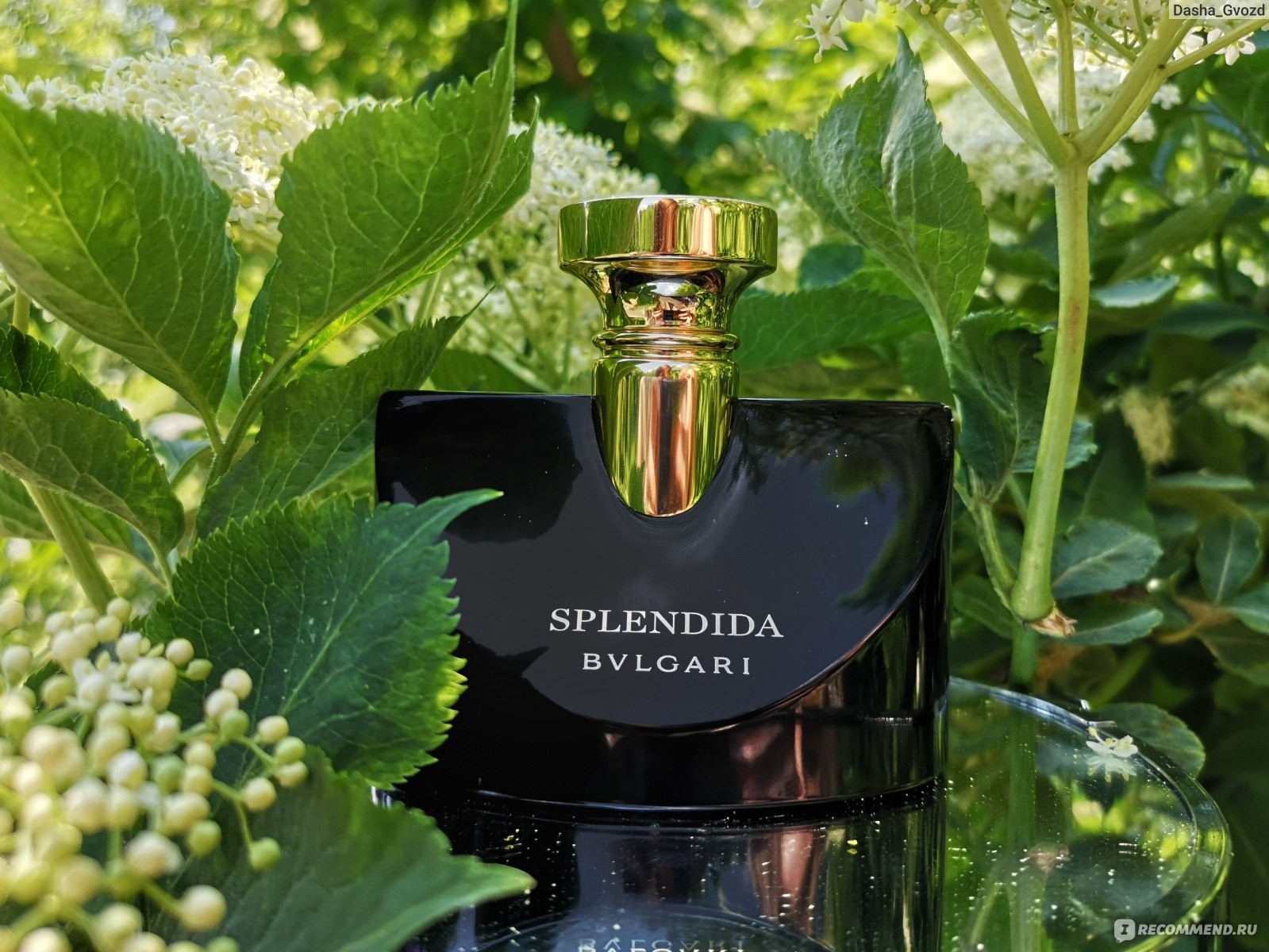 Bvlgari - Splendida Jasmin Noir EDP 100 ML Kadın Parfüm
