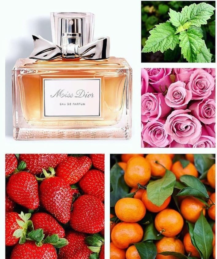 Christian Dior Miss Dior EDP 100 ML Kadın Parfüm