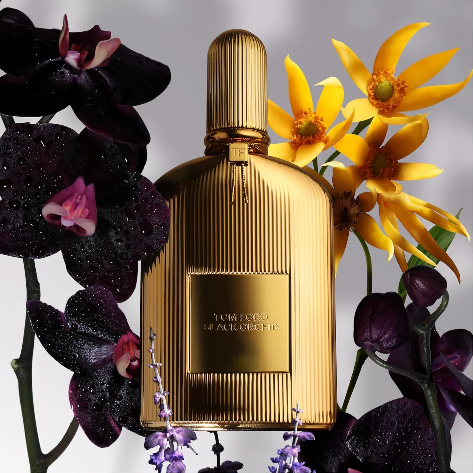 Tom Ford Black Orchid Gold PARFUM 100 ML Unisex Parfüm