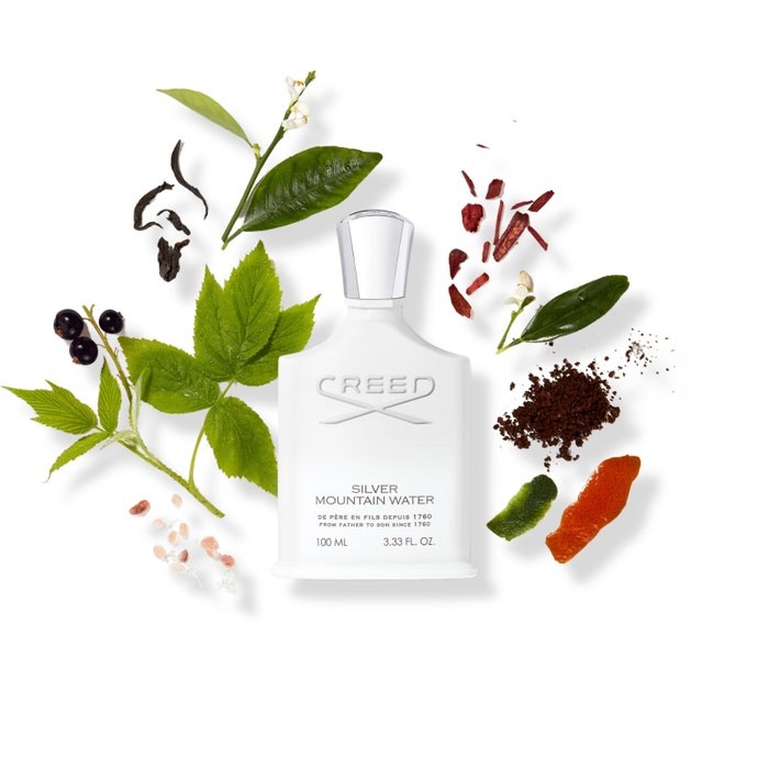 Creed Silver Mountain Water EDP 100 ML Erkek Parfüm