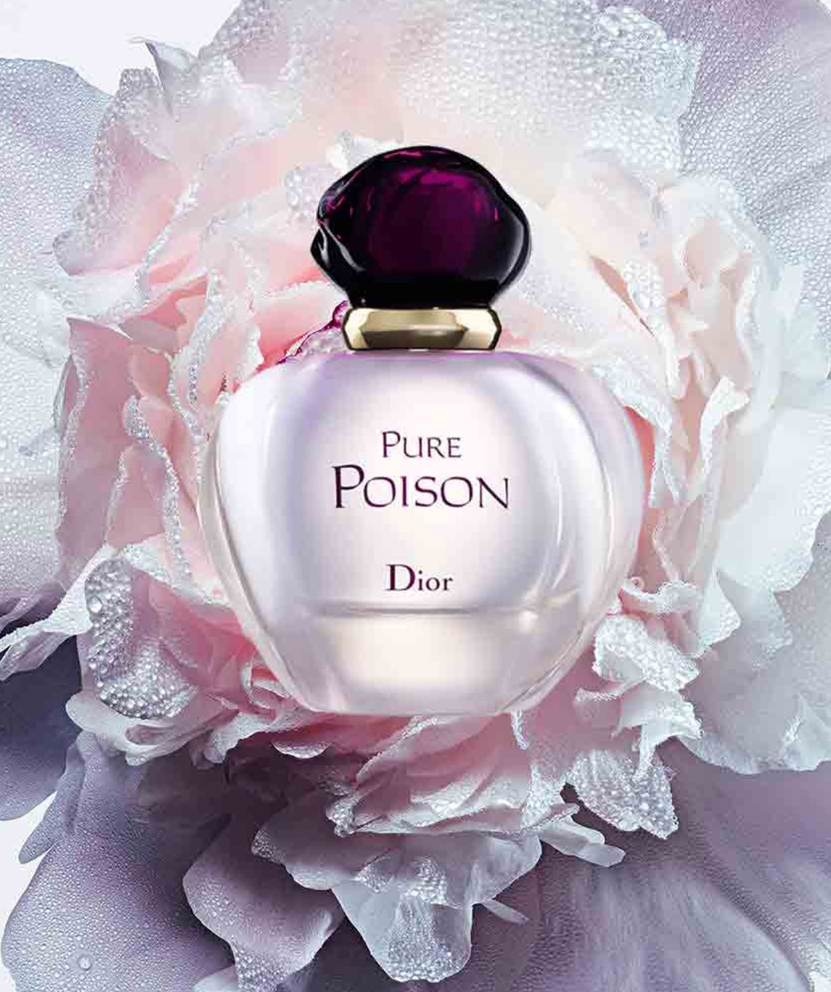 Christian Dior Pure Poison EDP 100 ML Kadın Parfüm