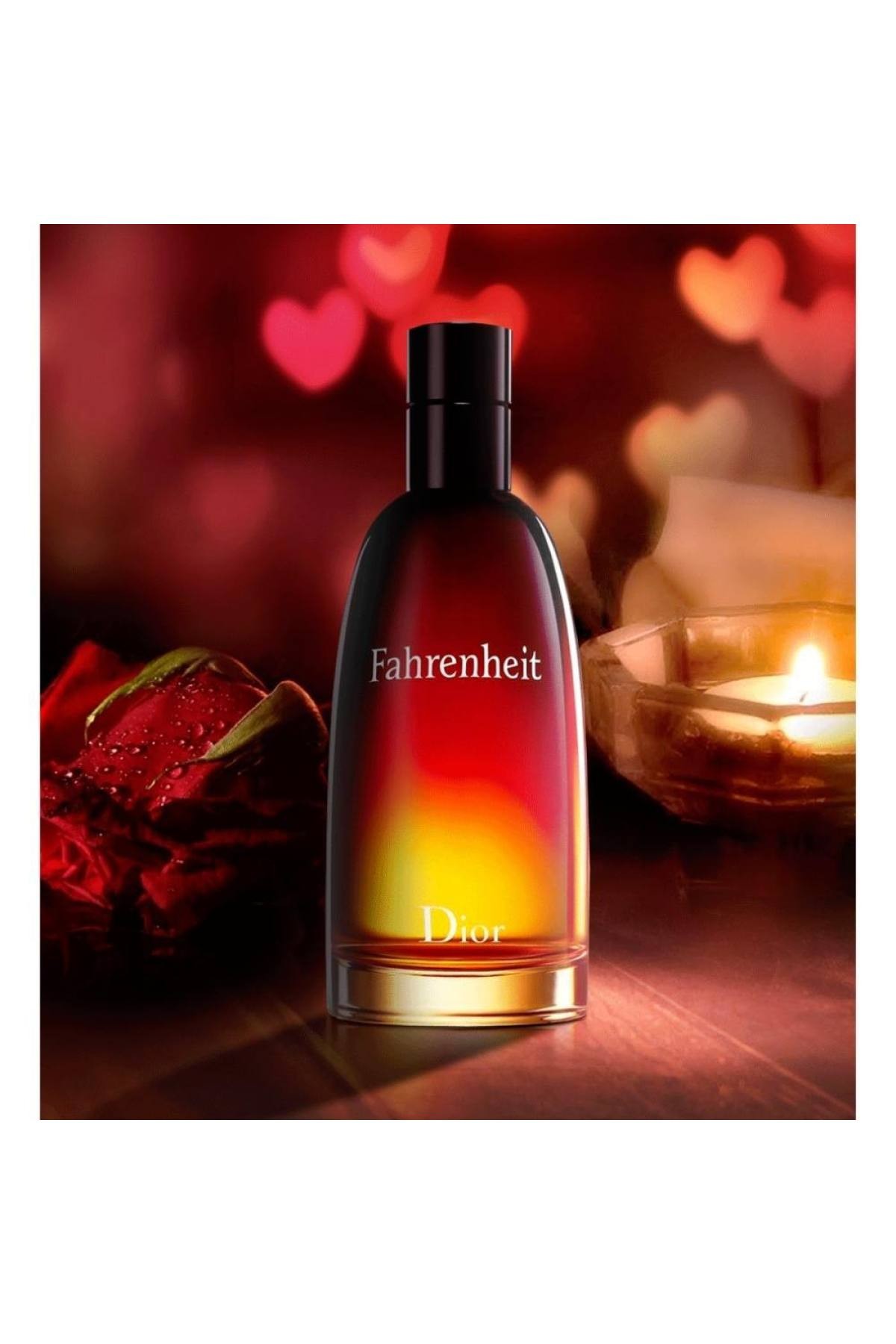 Fahrenheit EDT - 100 ML Erkek Parfüm