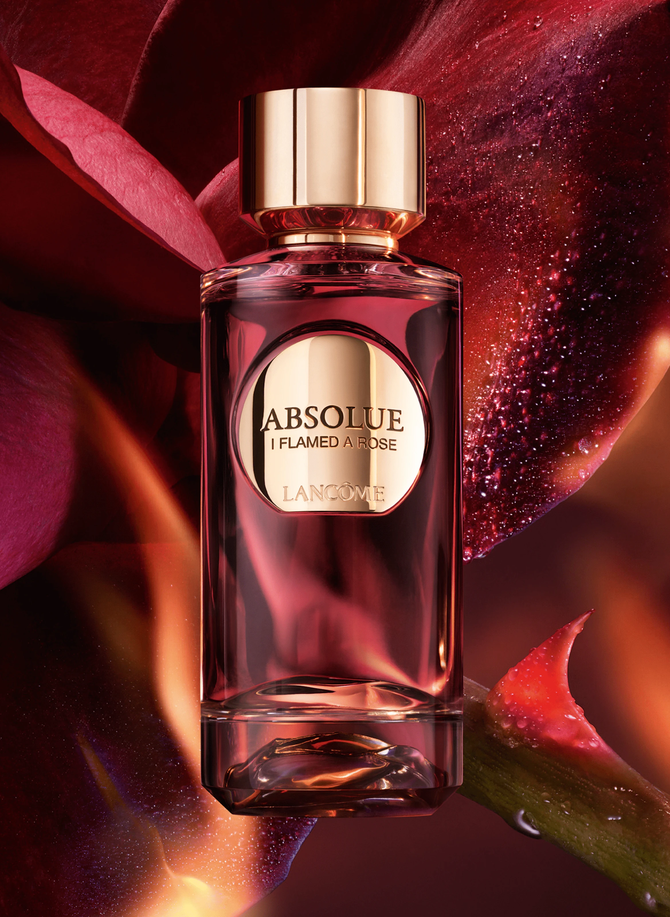 Lancome Absolue I Flamed A Rose EDP 100 ML Unisex Parfüm