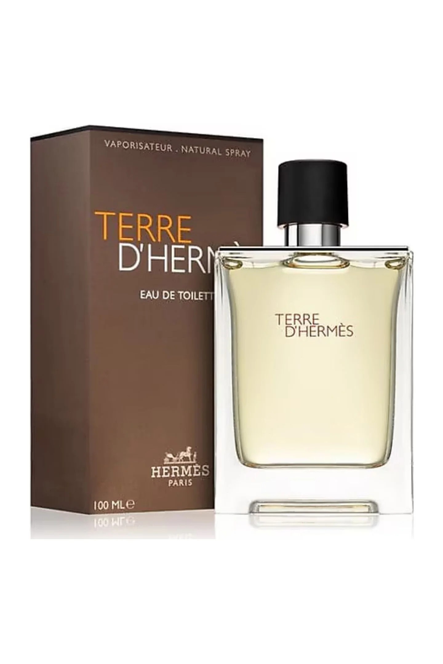 Terre D'Hermes EDT - 100 ML Erkek Parfüm