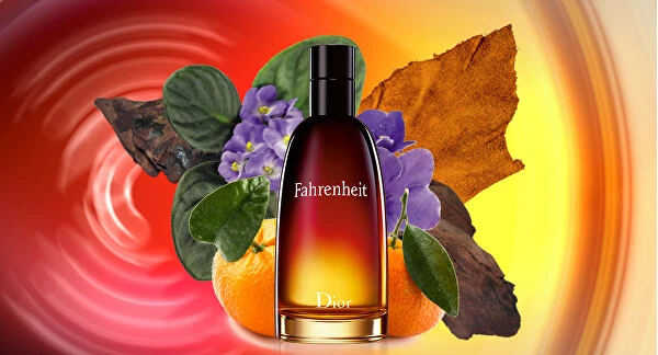 Christian Dior  Fahrenheit EDT 100 ML Erkek Parfüm
