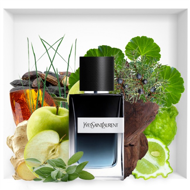 Yves Saint Laurent Y EDP 100 ML Erkek Parfüm