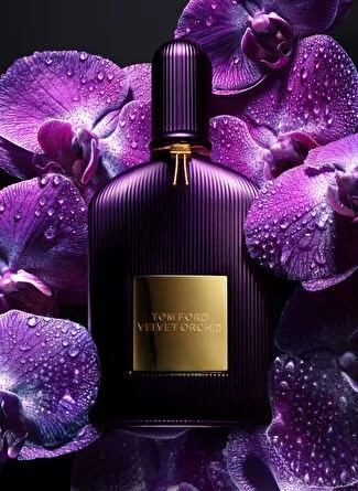 Tom Ford Velvet Orchid EDP 100 ML Kadın Parfüm