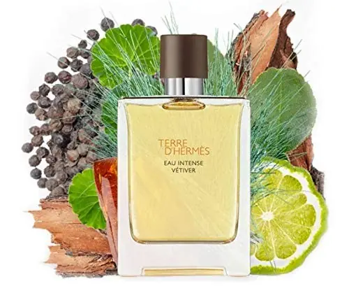 Hermes Terre D'Hermes Eau Intense Vetiver EDP 100 ML Erkek Parfüm