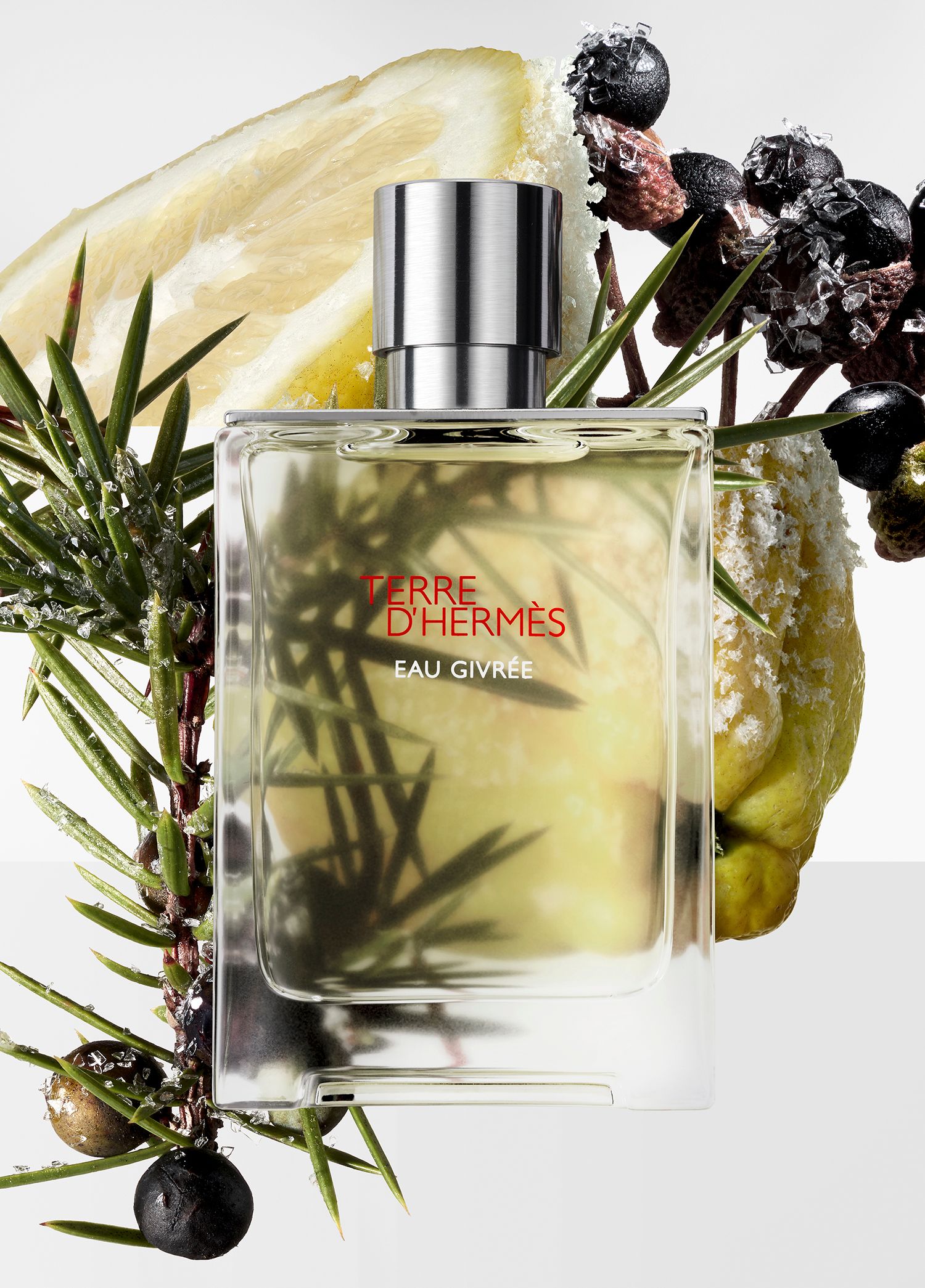 Hermes Terre D'Hermes Eau Givree EDP 100 ML Erkek Parfüm