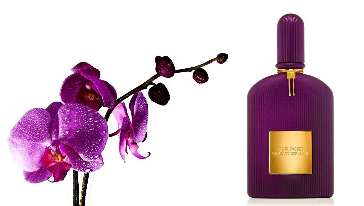Tom Ford Velvet Orchid EDP 100 ML Kadın Parfüm