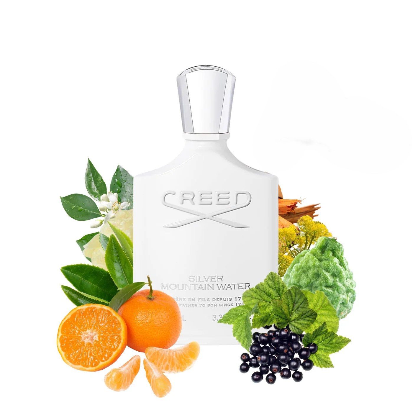 Creed Silver Mountain Water EDP 100 ML Erkek Parfüm
