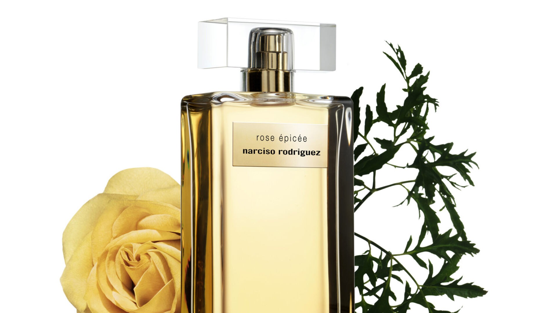 Narciso Rodriguez Rose Epicee İntense EDP 100 ML Kadın Parfüm