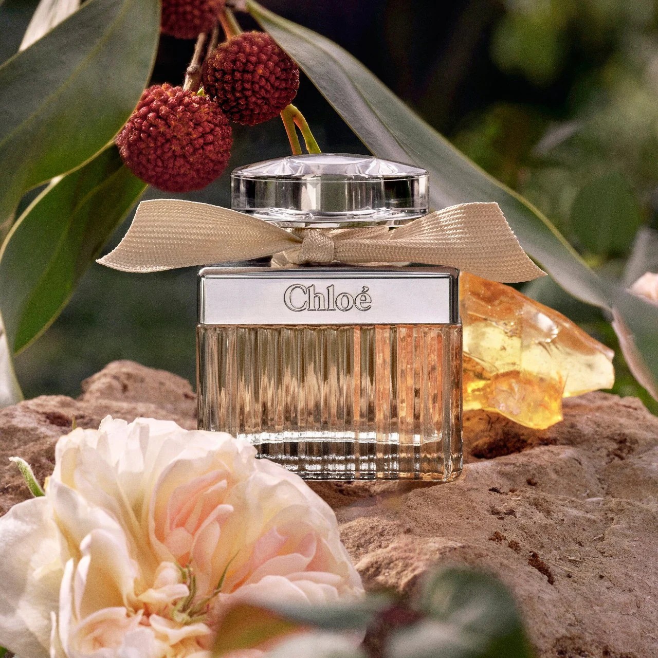 Chloe Signature EDP 75 ML Kadın Parfüm