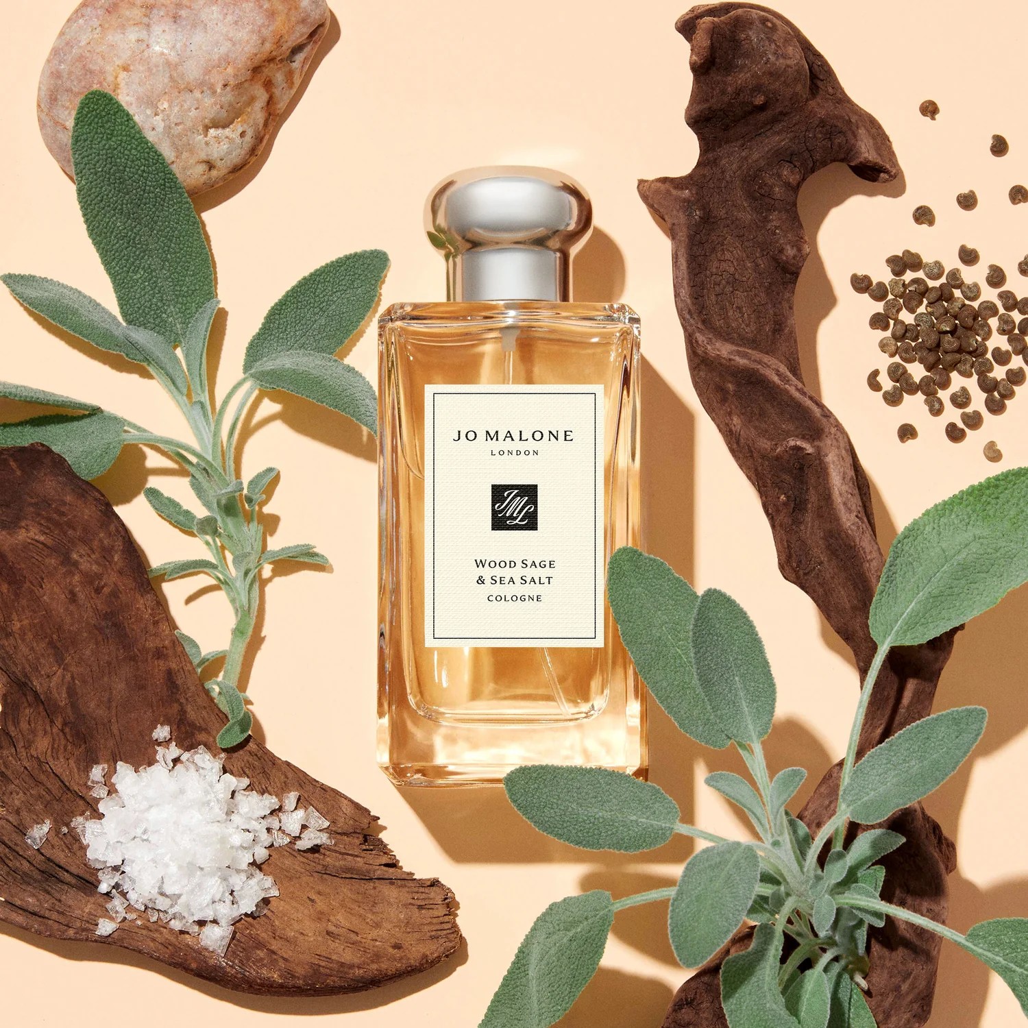 Jo Malone London Wood Sage & Sea Salt Cologne 100 ML Unisex Parfüm