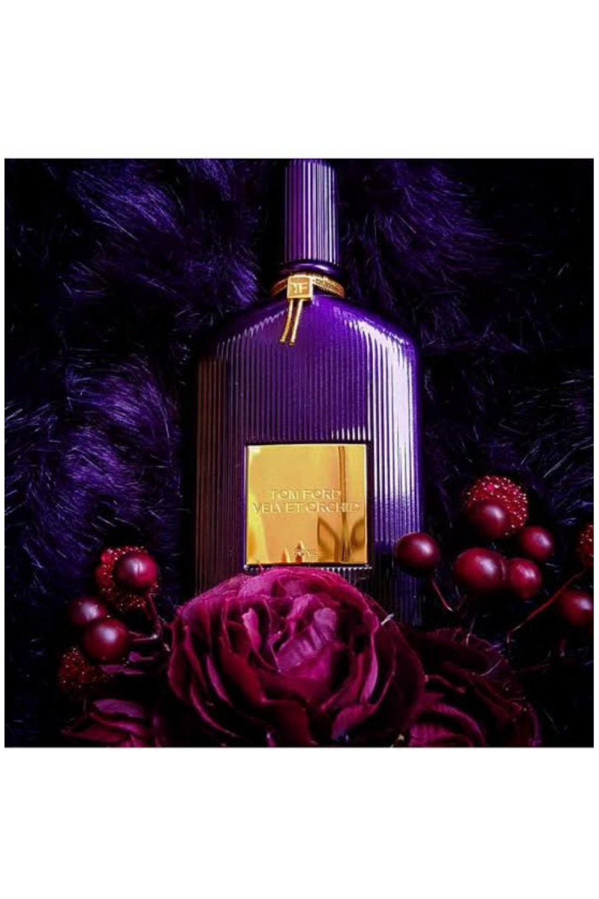 Velvet Orchid EDP - 100 ML Erkek Parfüm