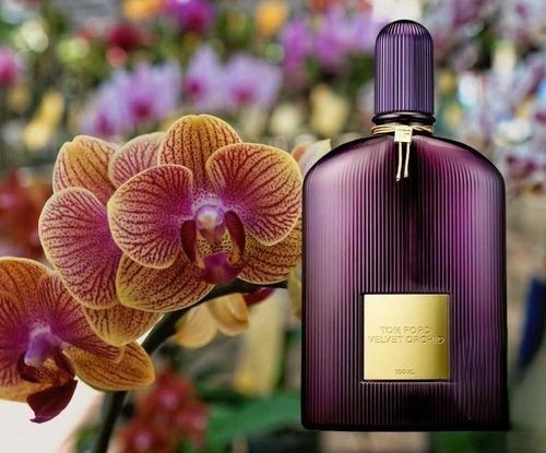 Tom Ford Velvet Orchid EDP 100 ML Kadın Parfüm