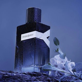 Yves Saint Laurent Y EDP 100 ML Erkek Parfüm