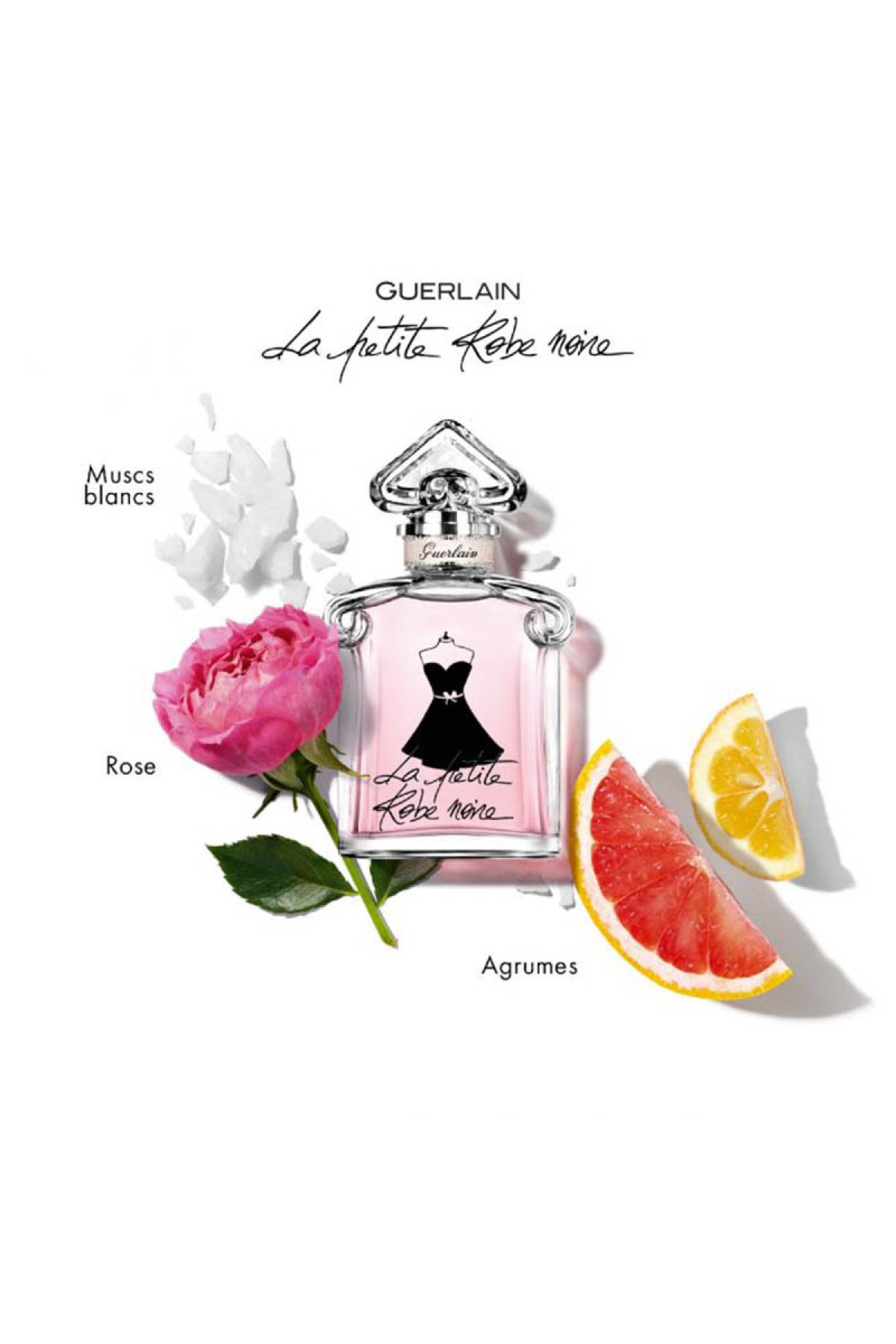 La Petite Robe Noire EDT - 100 ML Kadın Parfüm