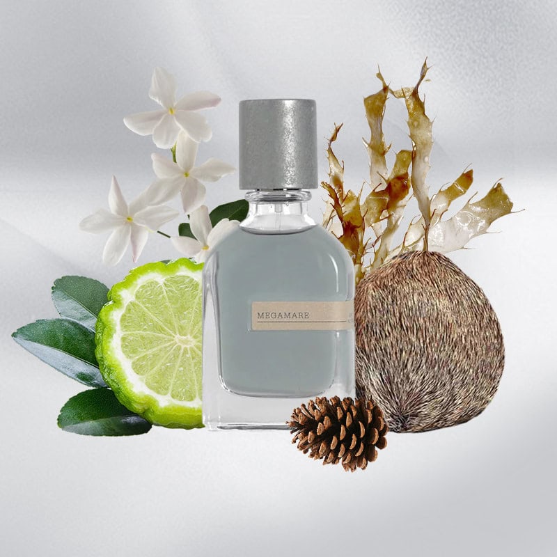 Orto Parisi Megamare Unisex EDP 50 ML Unisex Parfüm