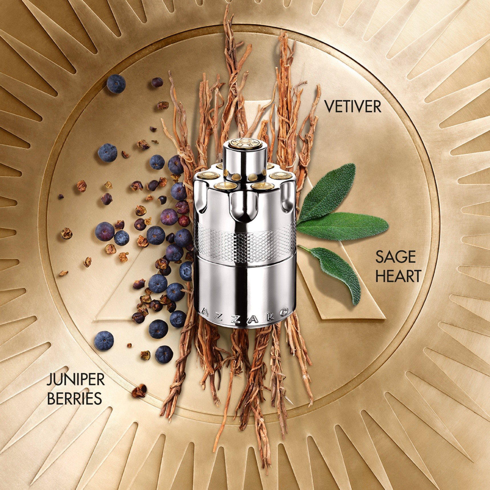 Azzaro - Wanted EDP 100 ML Erkek Parfüm