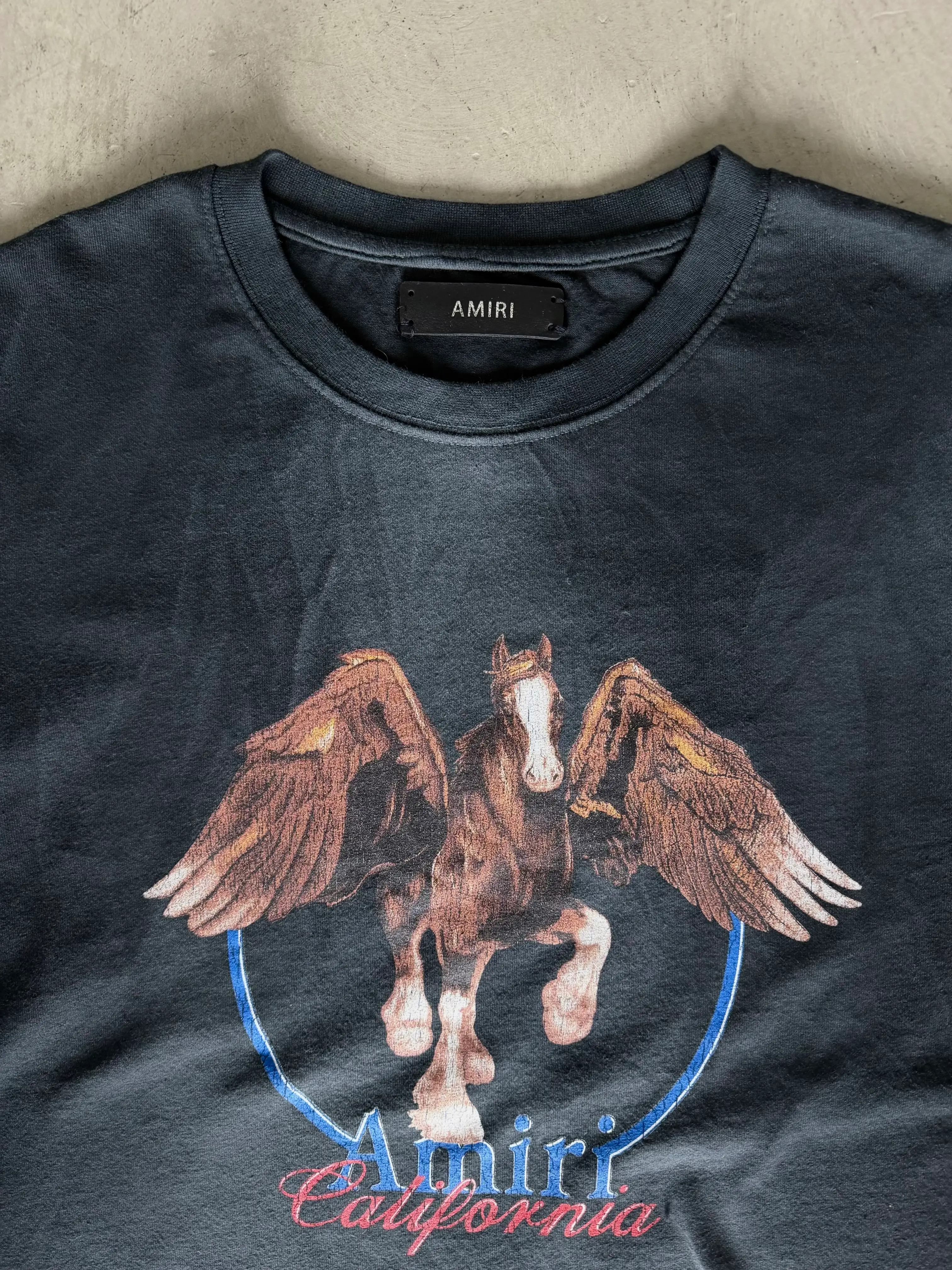 Kanatlı At Baskılı Kısa Kollu Tshirt