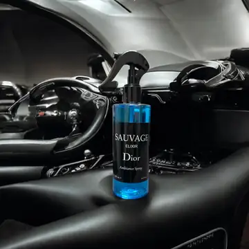 Brands Ortam Parfümü (250ML) - Christian Dior