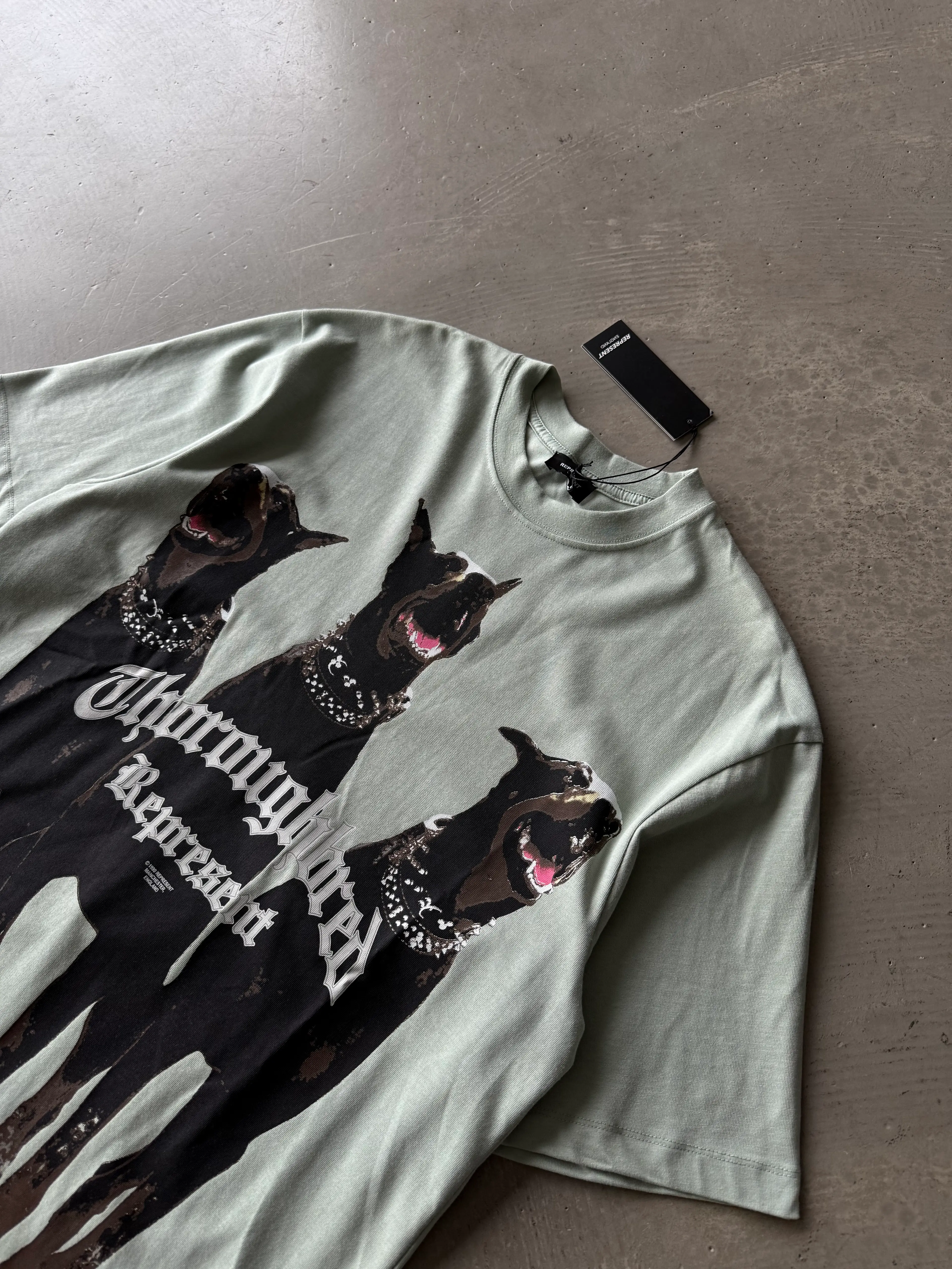 Pitbull Baskı Detaylı Basic T-Shirt