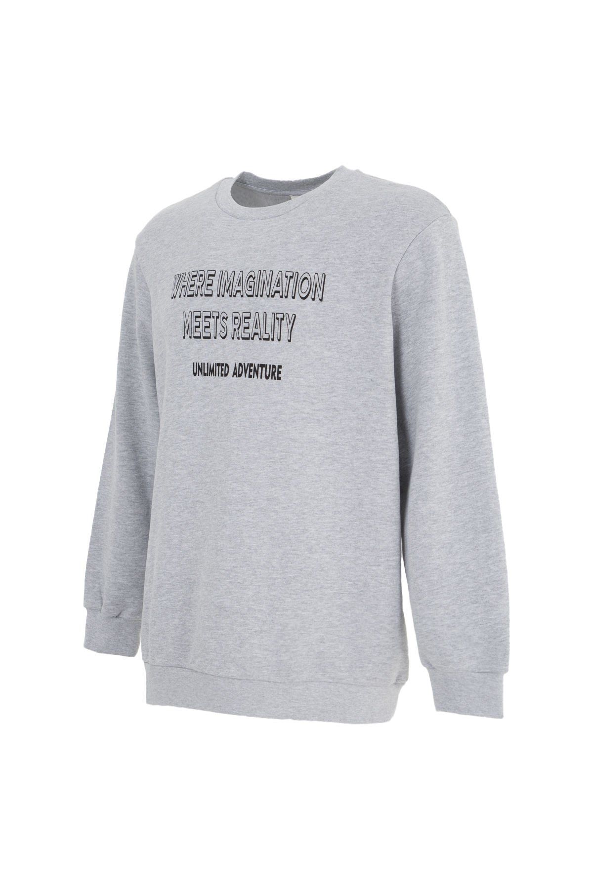 Erkek Bisiklet Yaka Regular Fit Baskılı Sweatshirt - Gri