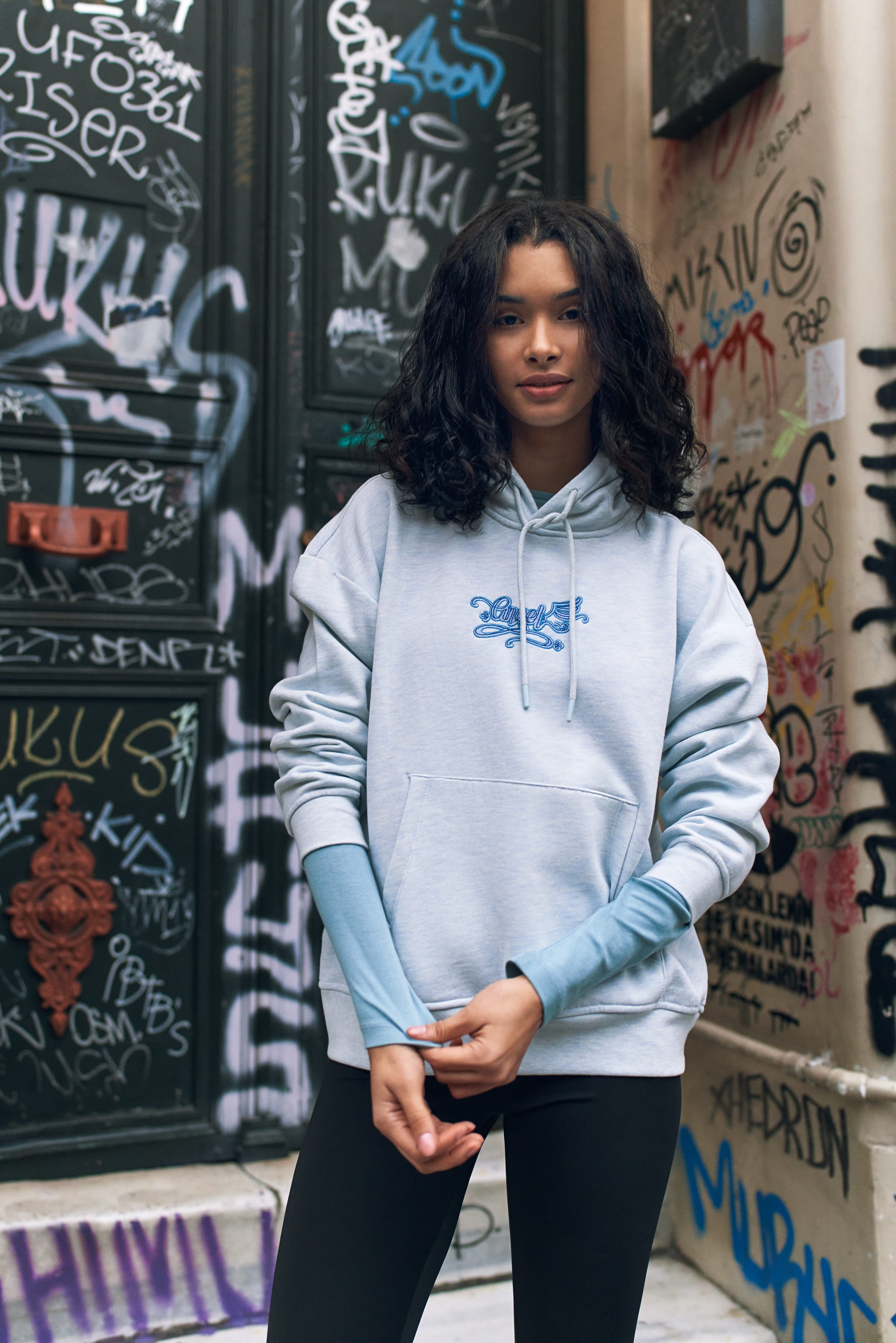 Kadın Kapüşonlu Regular Fit Şardonlu Nakışlı Sweatshirt