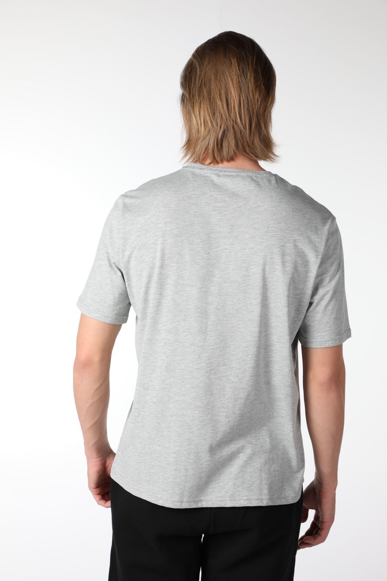 Erkek Bisiklet Yaka Kısa Kollu Regular Fit Baskılı Tişört - Gri