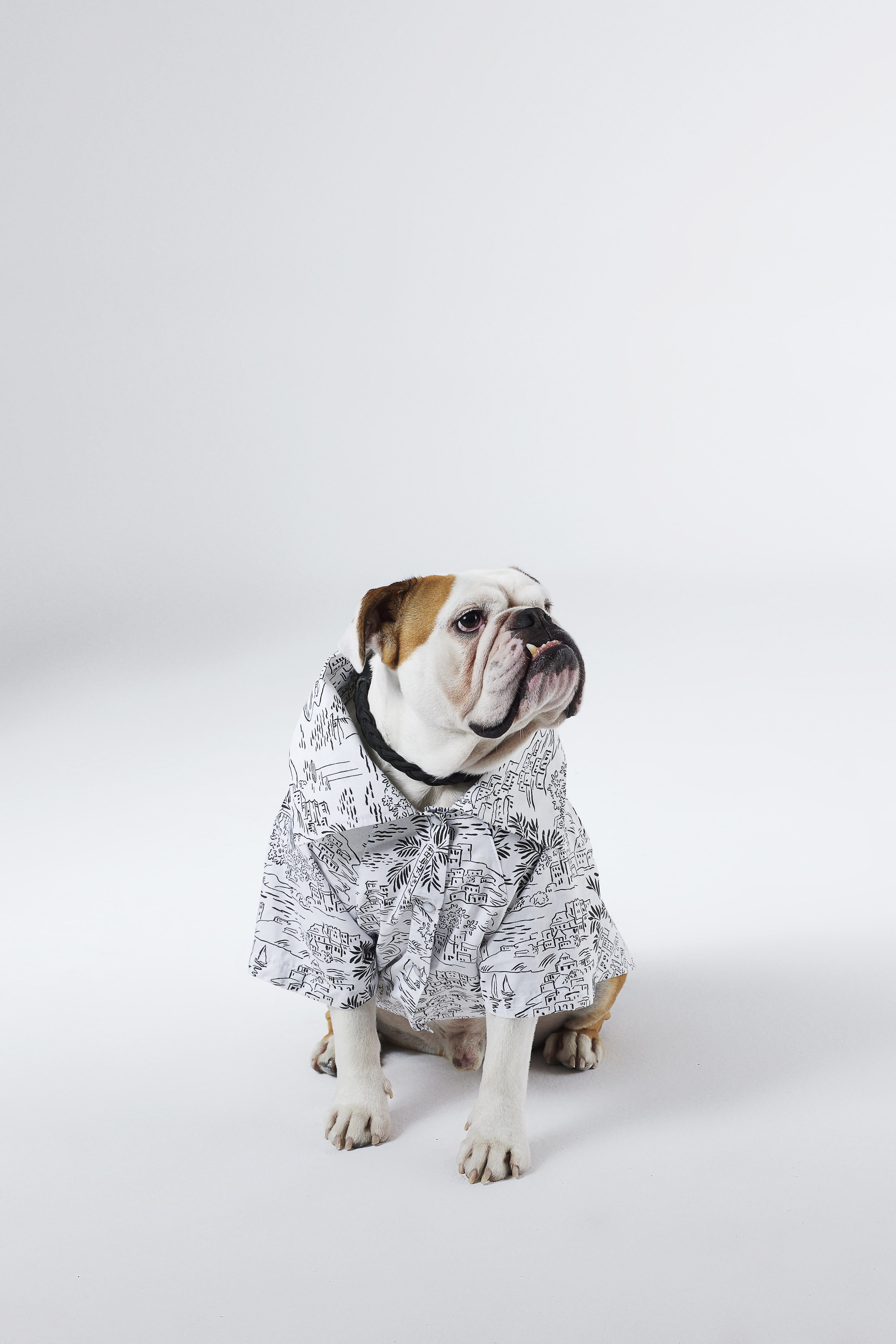 Island Vibes Köpek Gömleği
