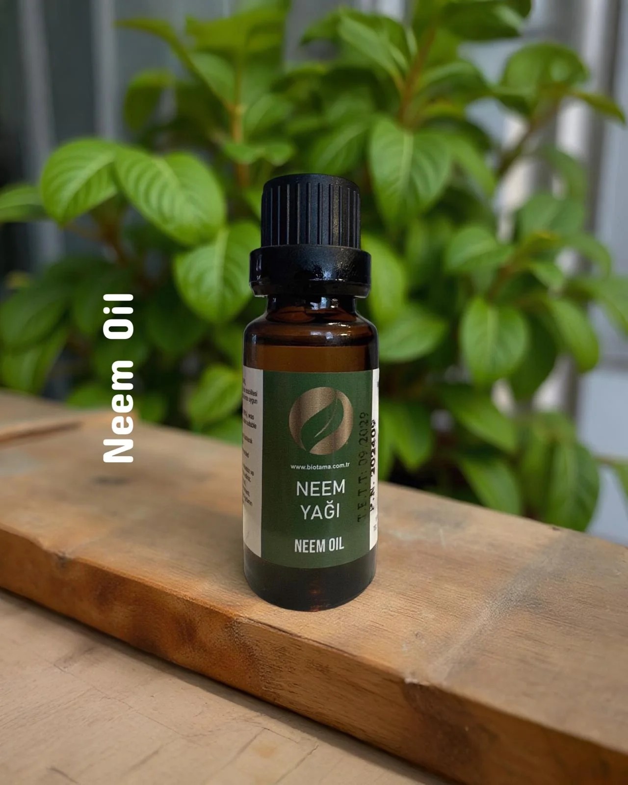 NEEM YAĞI 20 ML