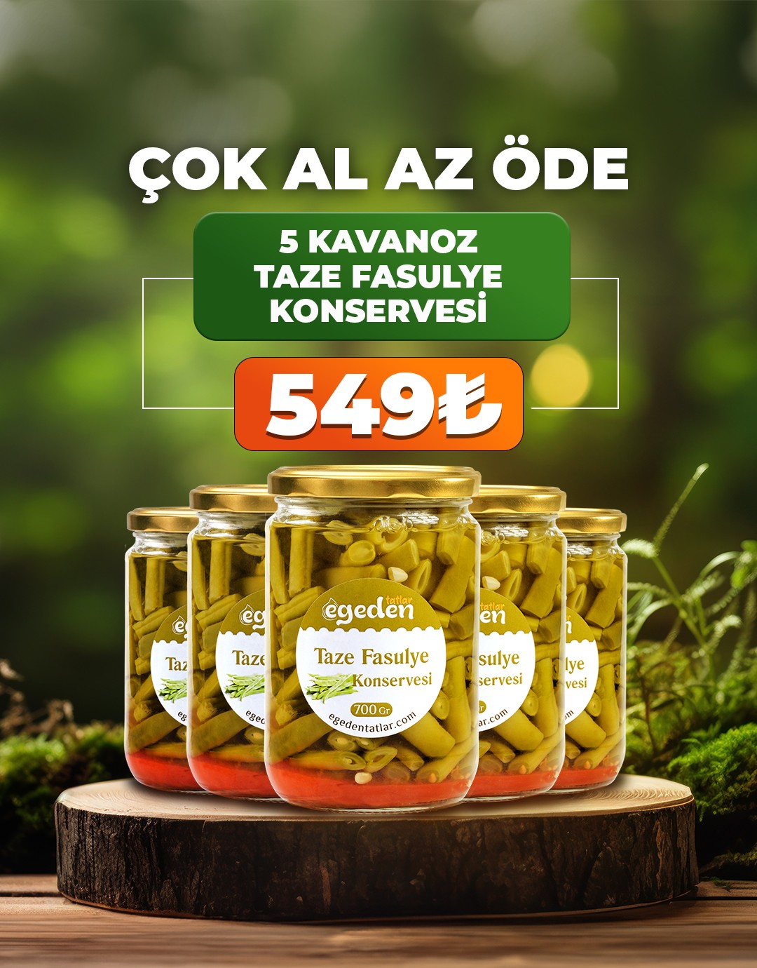 Taze Fasulye Konservesi 700 gr. 5'li Paket