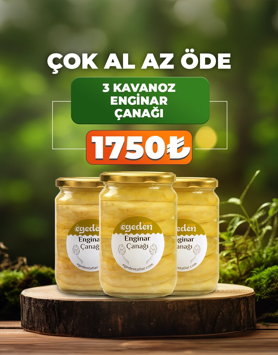 Çanak Enginar Konservesi (6-7 Adet) 3'lü Paket