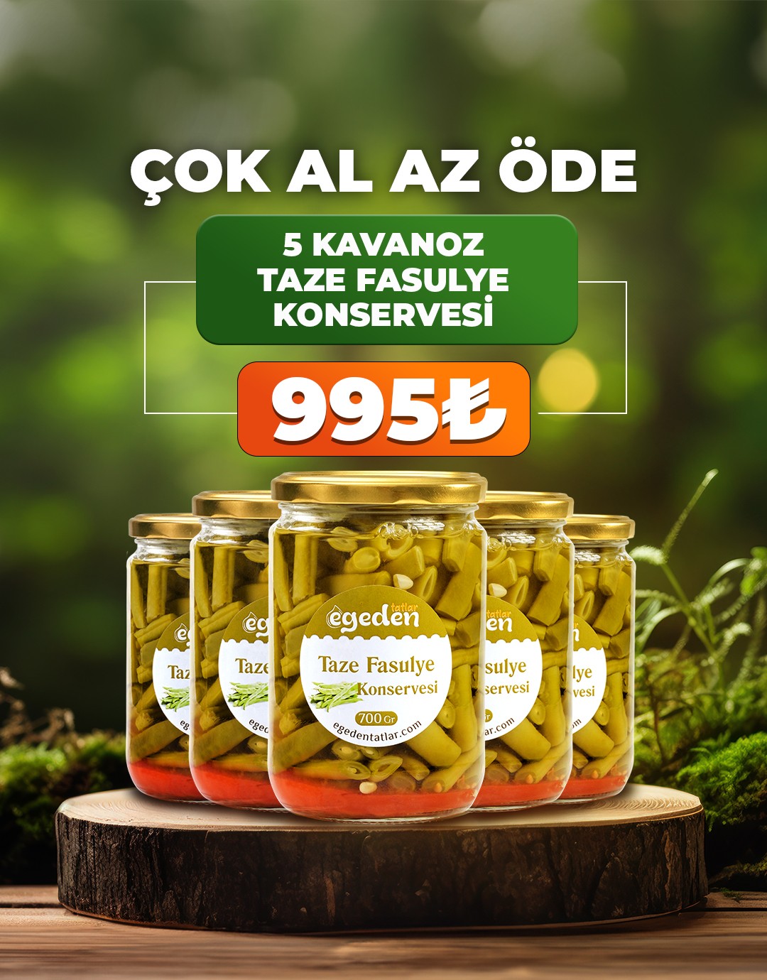 Taze Fasulye Konservesi 700 gr. 5'li Paket