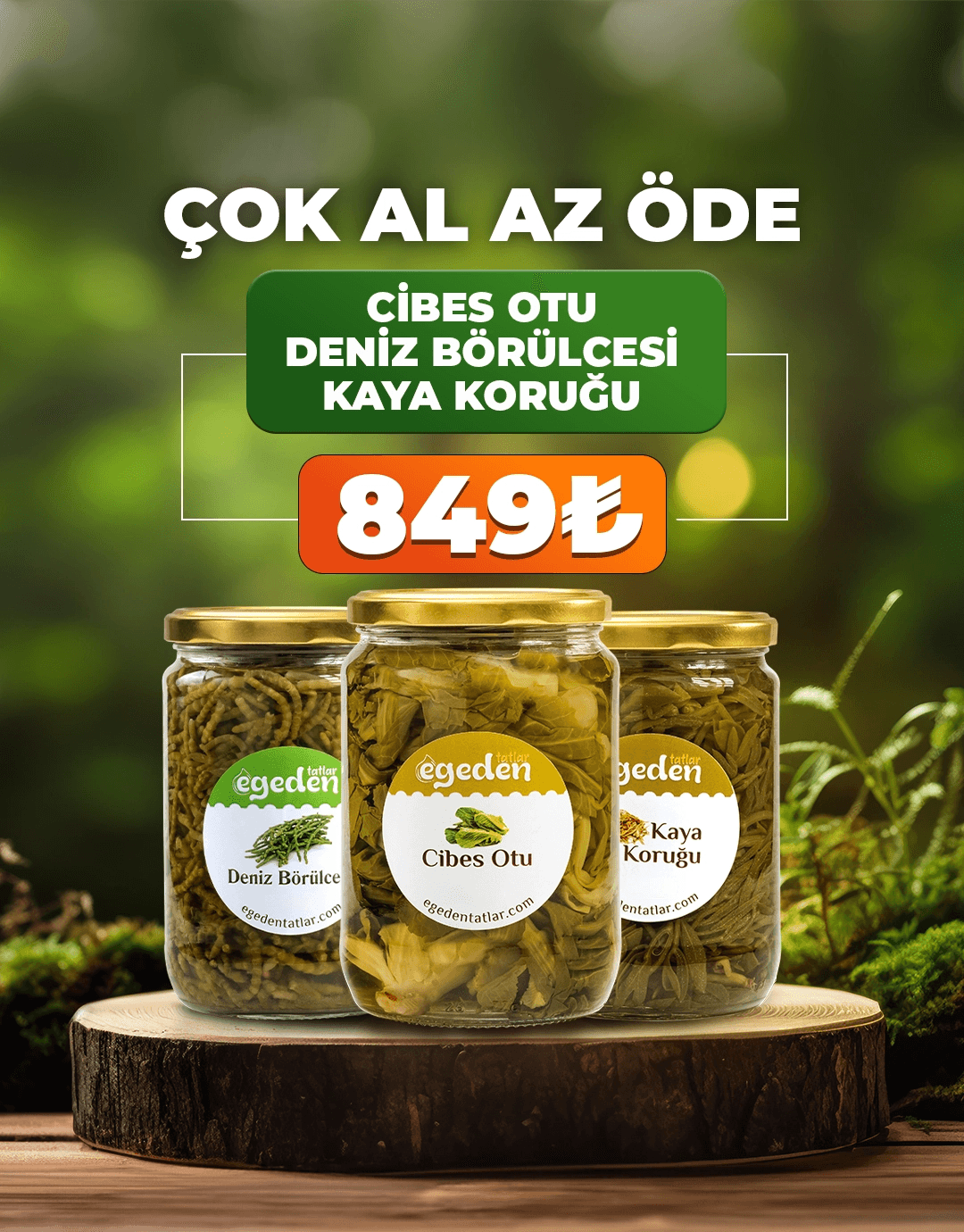 3'lü Fırsat Paketi (Cibes Otu, Deniz Börülcesi, Kaya Koruğu) 