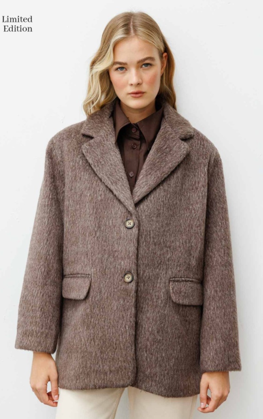 ALPAKA YÜN BLAZER