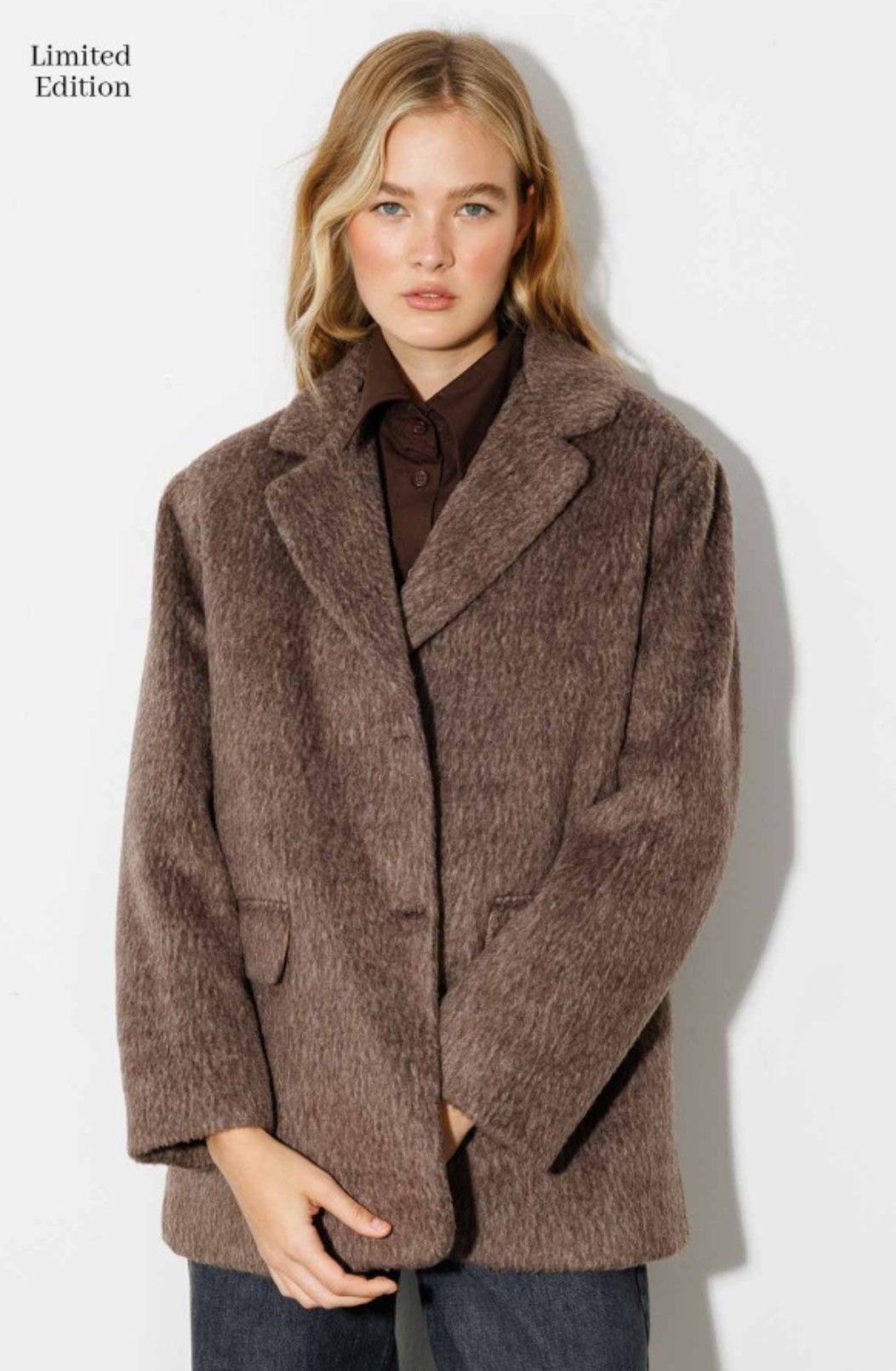 ALPAKA YÜN BLAZER