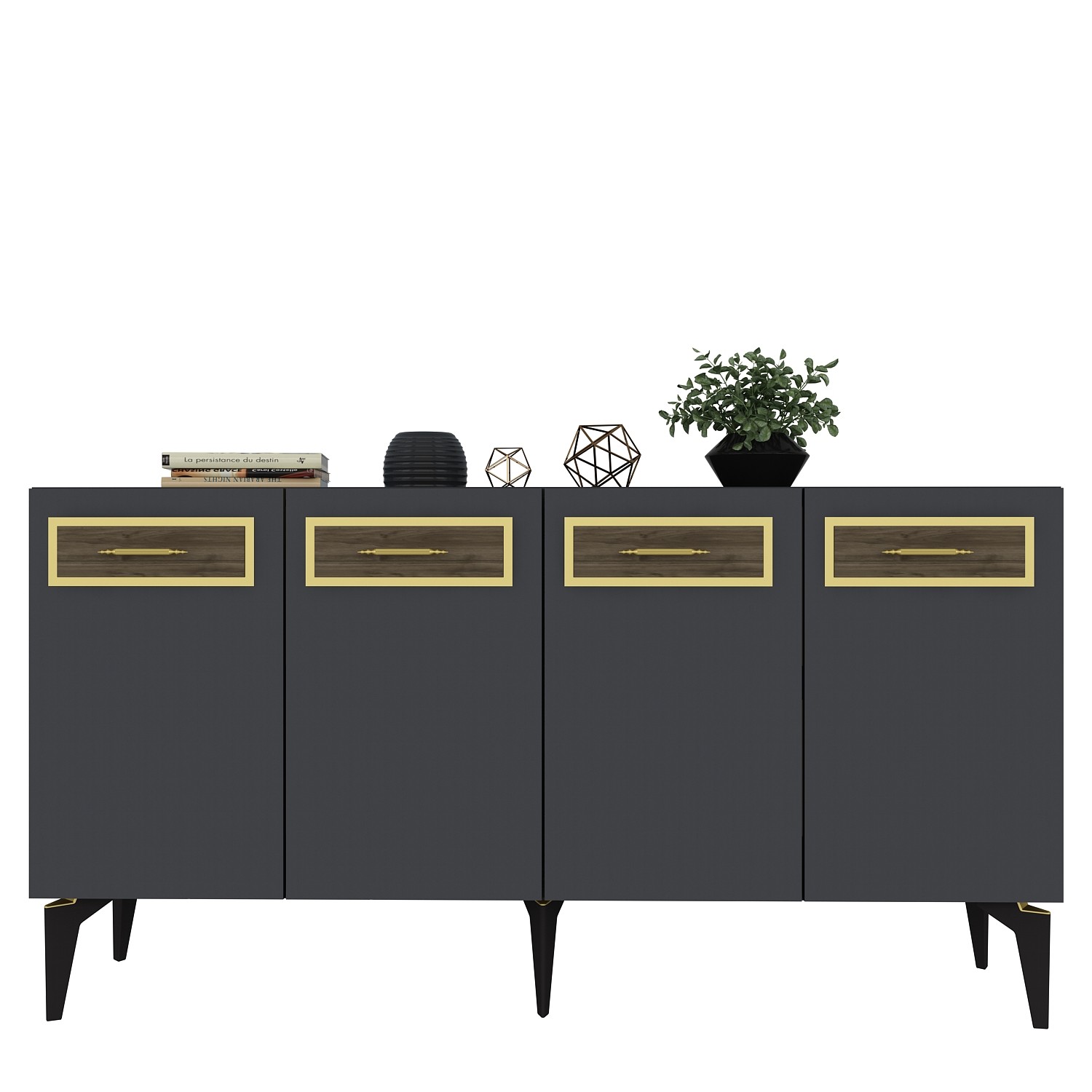 ECEM Cabinet