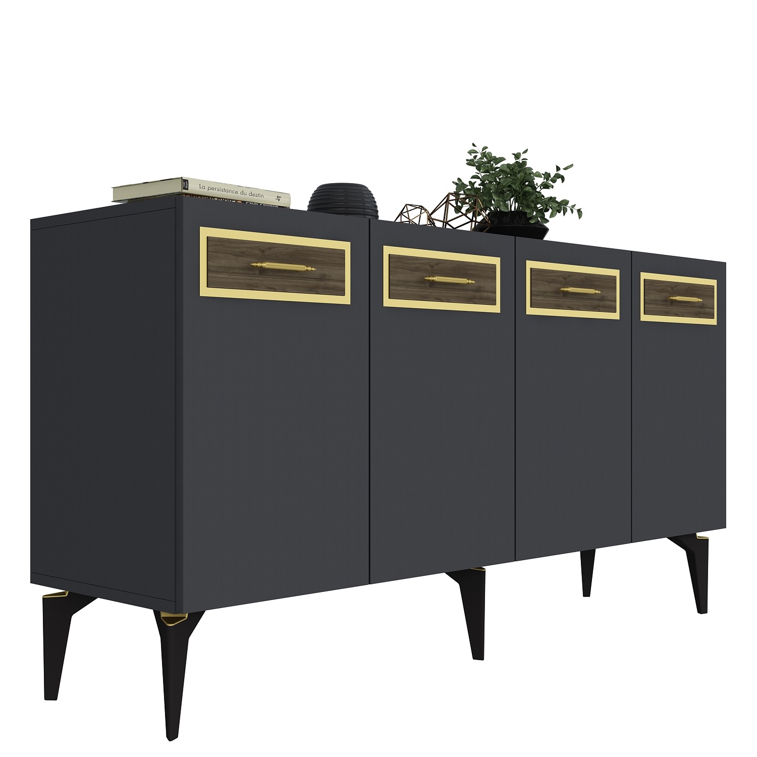ECEM Cabinet