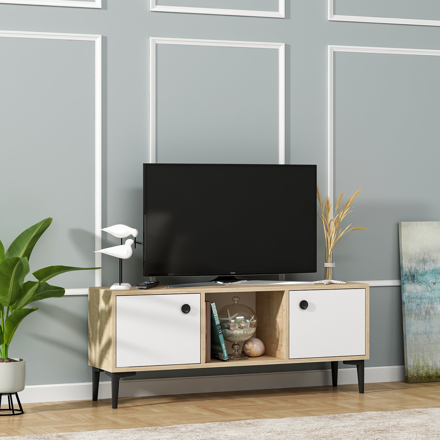 PARION TV Unit