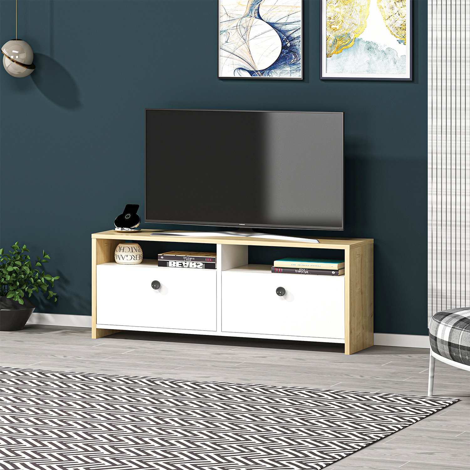 SARE TV Unit