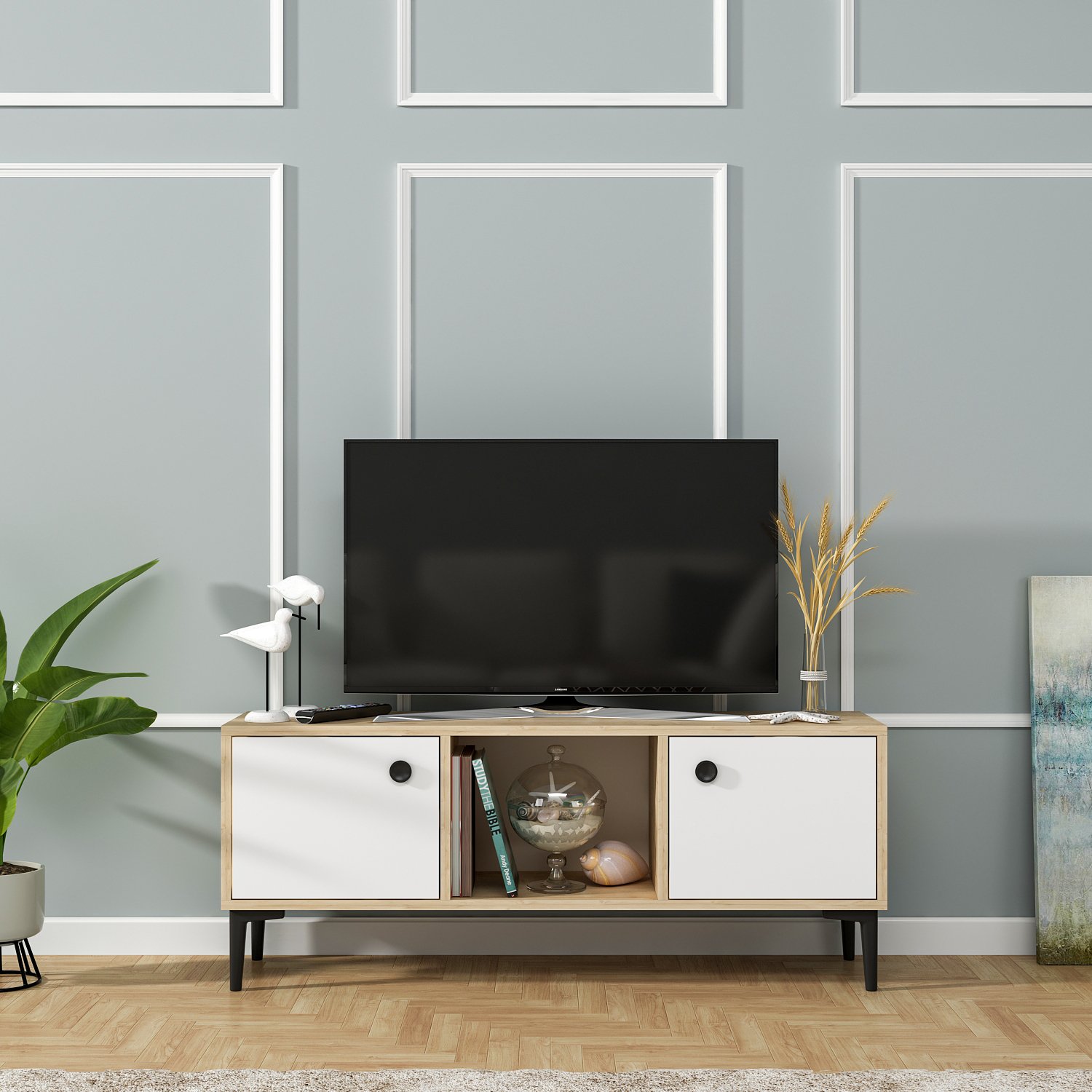 PARION TV Unit