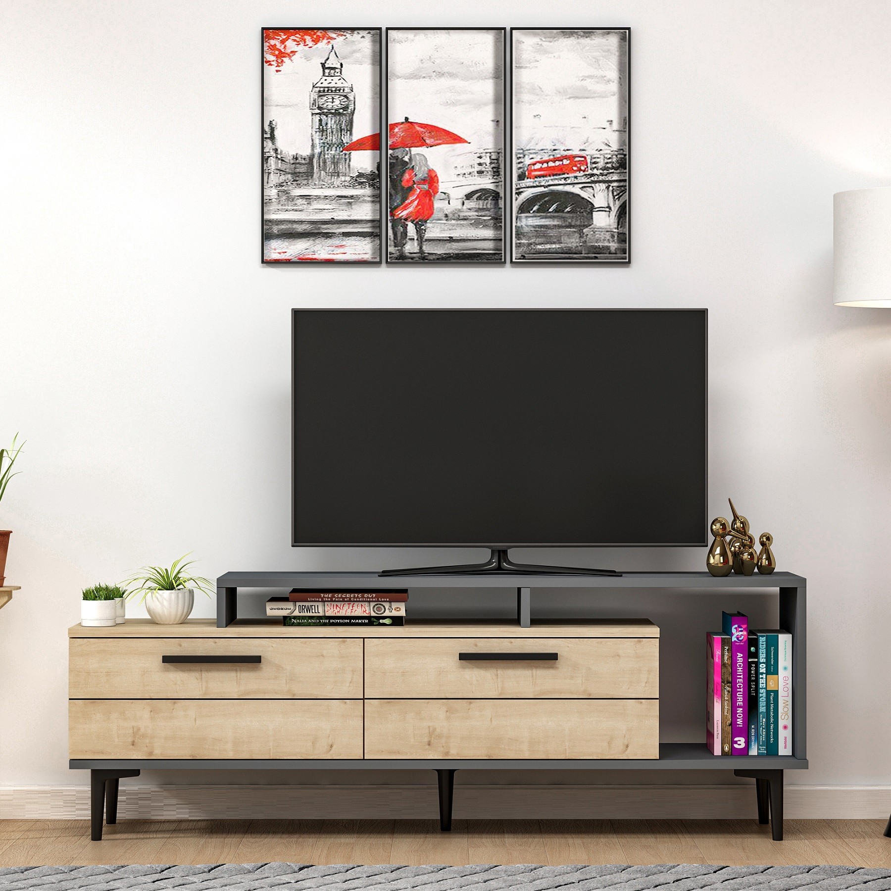 NIVA TV Unit