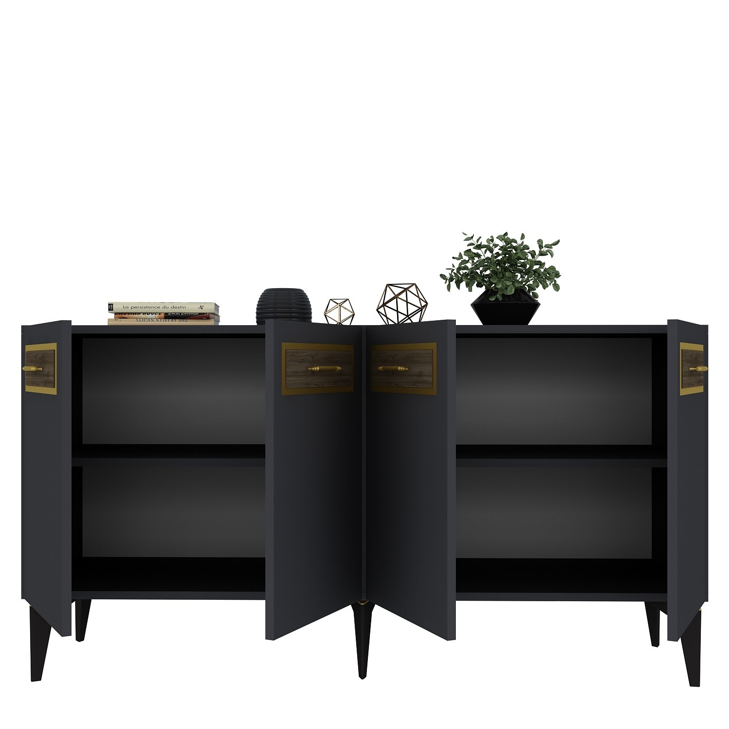 ECEM Cabinet