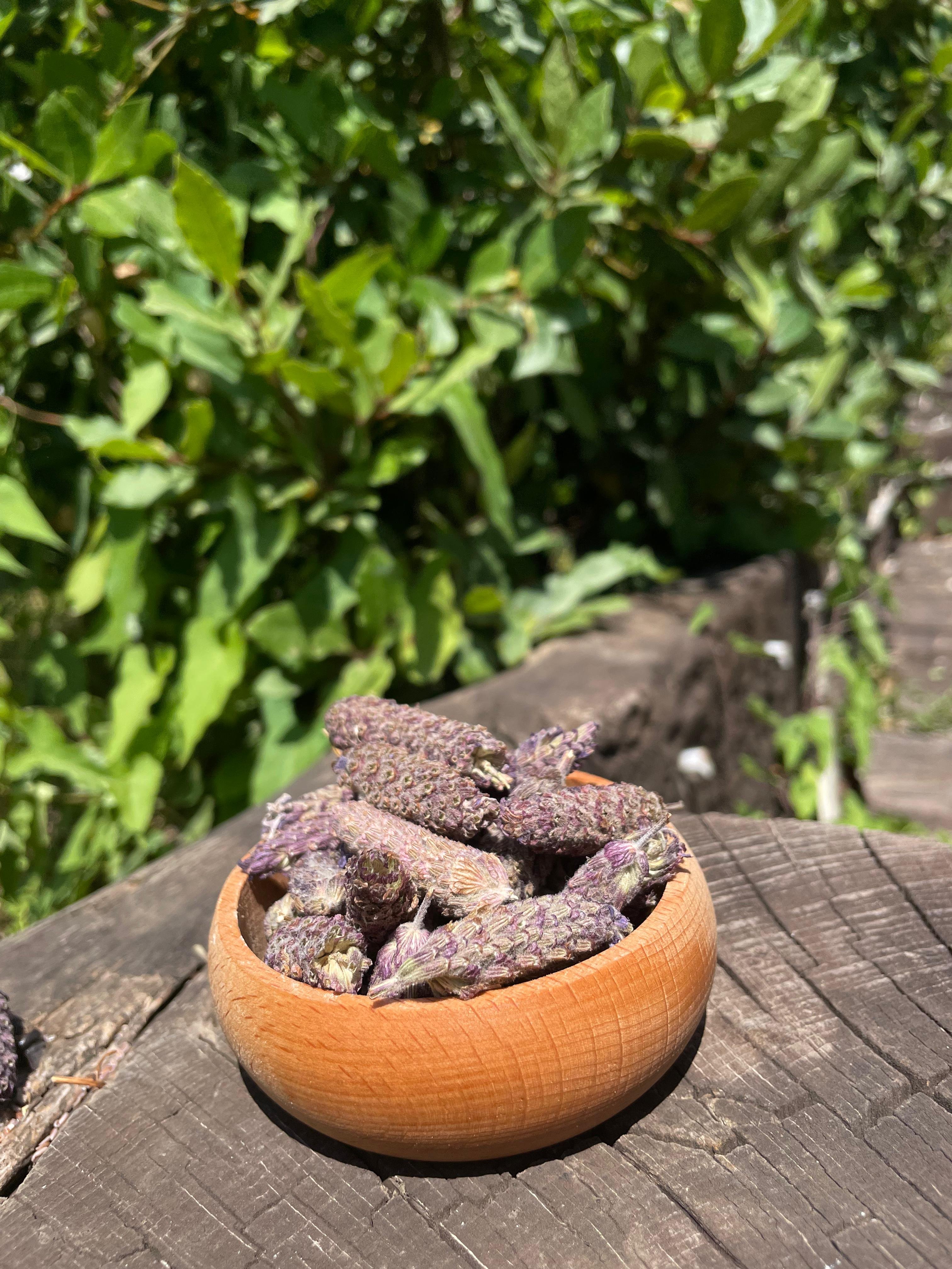 Karabaş Otu (100 gr)