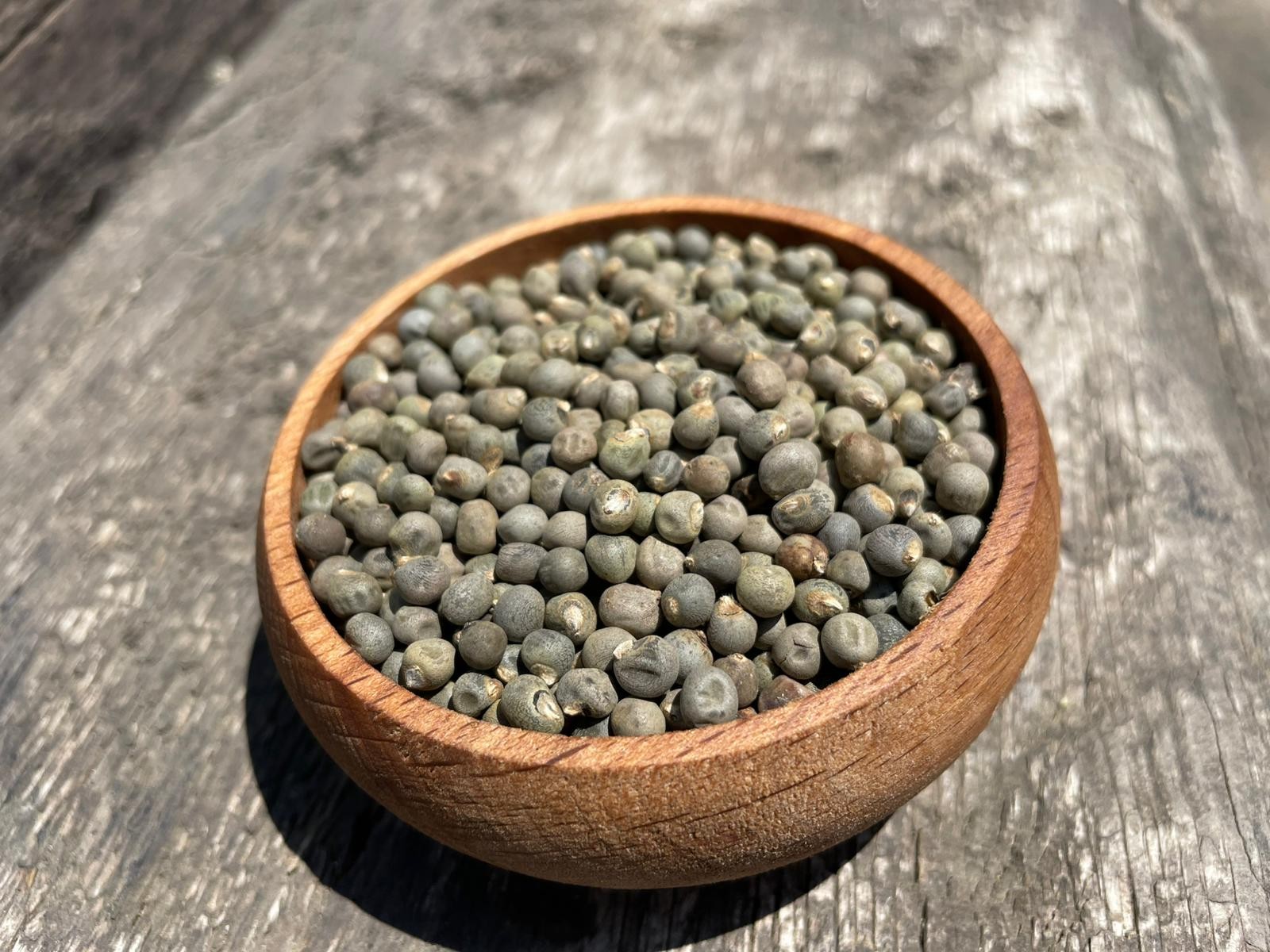 Bamya Tohumu(200gr)